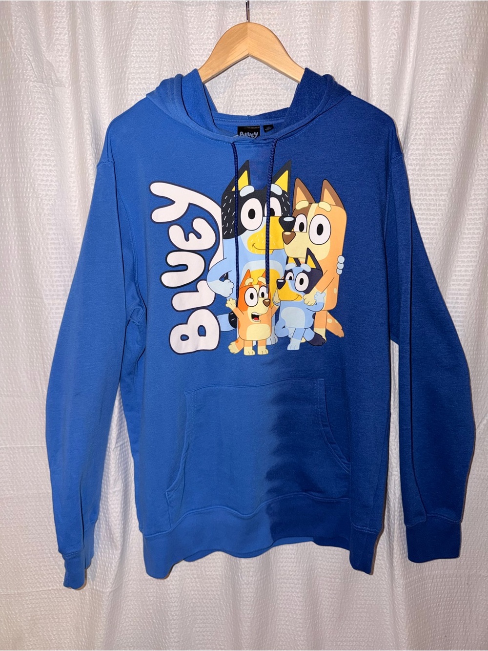 Bluey Men’s Tie Dye Graphic Hoodie Size Large Heeler Family Blue Sweatshirt